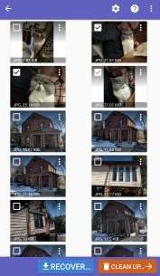 Select the Photo You Need