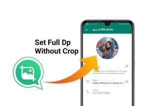 3 Best Ways to Set Your Full Photo as WhatsApp DP Without Cropping