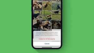 iPhone Users Beware of Images Being Deleted From Photo Library