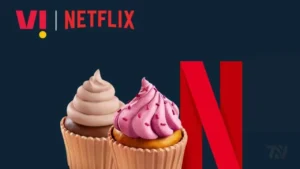Vi Launches ₹871 Max Family Plan with Netflix, 2 Connections & More